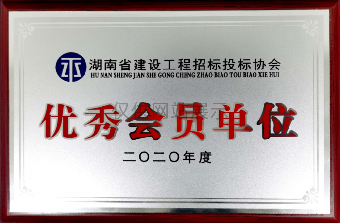 2020年度湖南省建设工程招标投标协会（优秀会员单位）